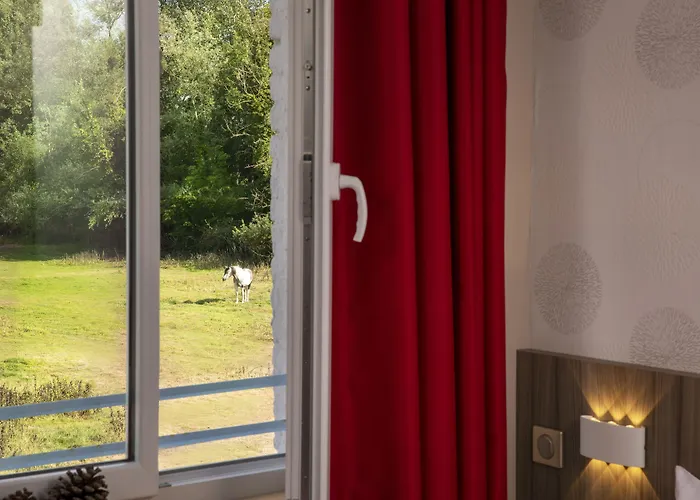 Cocoon Inn فندق 3*