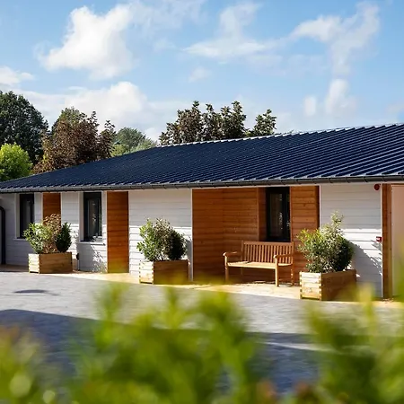 Cocoon Inn 3*